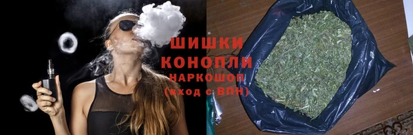 прущие грибы Алзамай