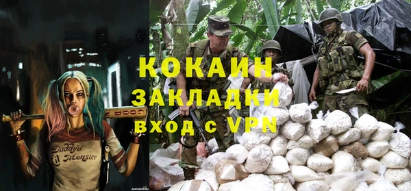 прущие грибы Алзамай