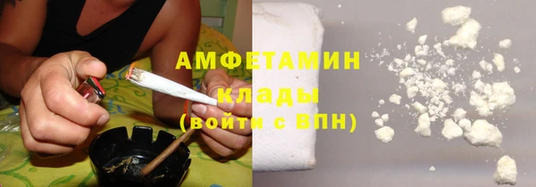 прущие грибы Алзамай