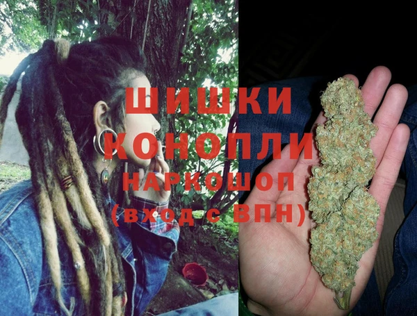 прущие грибы Алзамай