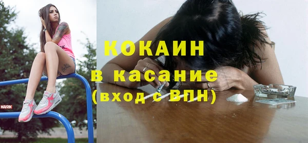 прущие грибы Алзамай