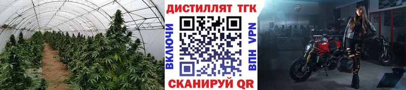 Дистиллят ТГК гашишное масло  кракен маркетплейс  Сорочинск 