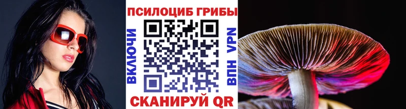 нарко площадка телеграм Сорочинск Псилоцибиновые грибы мухоморы